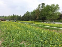-北坞公园