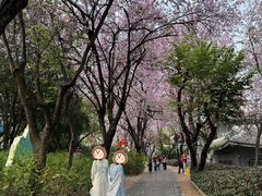 -柳侯公园