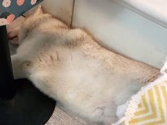 -小时光咖啡馆(北锣鼓巷店)