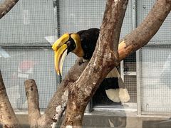 -南宁市动物园