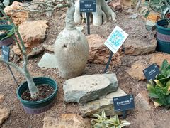 -国家植物园南园