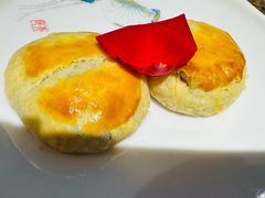 -菌歌野生菌火锅(海埂大坝店)