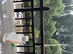 -遇见小院—虹鳟鱼•农家菜(怀柔店)