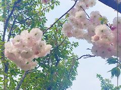 -棒棰岛宾馆景区