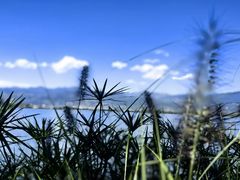 -西昌邛海湿地