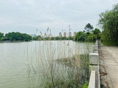 -杏花村文化旅游区