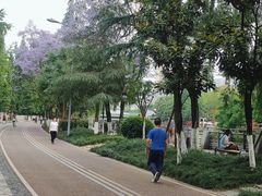 -成都市活水公园