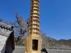 -五台山风景名胜区