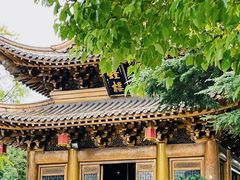 -上海东林寺(金山区)