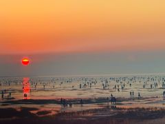 -南汇嘴观海公园