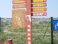 -海鸥岛