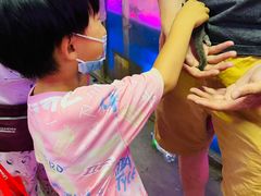 -花鸟鱼虫鲜花绿植市场(玉泉路店)