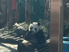 -大连森林动物园