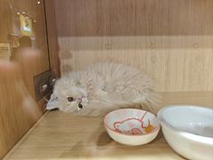 -天河领展广场