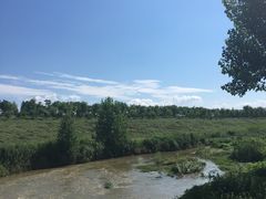 -洨河生态公园