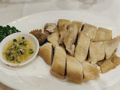 -清新鸡沙田乳鸽店(金融店)