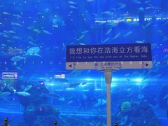 -成都浩海立方海洋公园