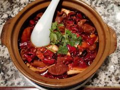 肥肠臭豆腐煲-南京大牌档(崇文门国瑞店)