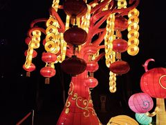 -武汉园博园(武汉自然博物馆)