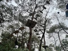 -芦仙山景区-飞越丛林探险乐园