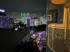 -新高轮格兰王子大酒店