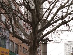 -利客来李村购物中心