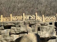 -关门山森林公园