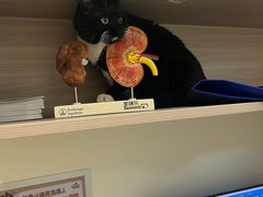 -虹泰宠物医院 ·旗舰店·24h(南秀路店)