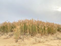 -亿利库布其七星湖沙漠生态旅游区