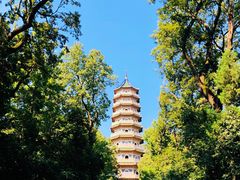 -灵谷景区