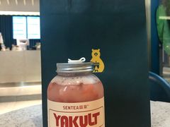-森茶(湛江万达店)