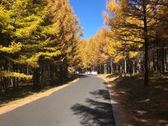 -塞罕坝国家级自然保护区