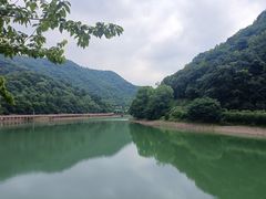 -桃花岭景区