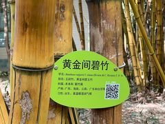 -晓港公园