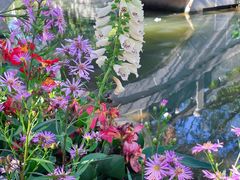 -人民公园(罗湖区)