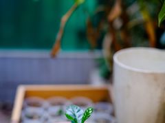 -豆舞咖啡(民乐路店)