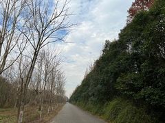 -上海海湾国家森林公园