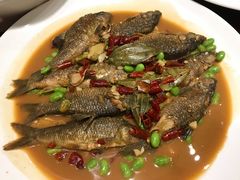 -悠悠美食