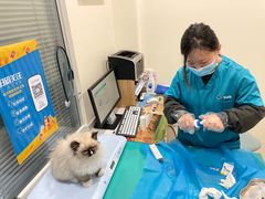-美迦爱-牙专科·兔科·骨科诊疗中心(北苑店)
