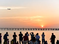 -宝安西湾红树林湿地公园