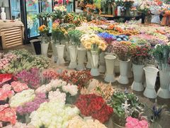-双季花艺园艺市场(浦东店)