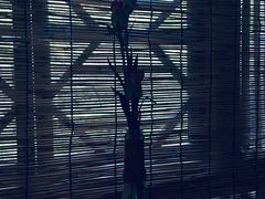 -驿舍·民國老营房院子私房菜(科学会堂店)