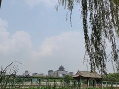 -莲花池公园