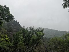 -北京上方山国家森林公园