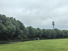 -羊山湖公园