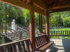-龙头寺公园