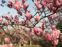 -白塘生态植物园