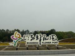 -上海鲜花港
