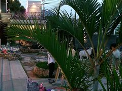 -海市蜃楼花园主题餐厅(石顶店)