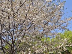 -长沙市青少年宫